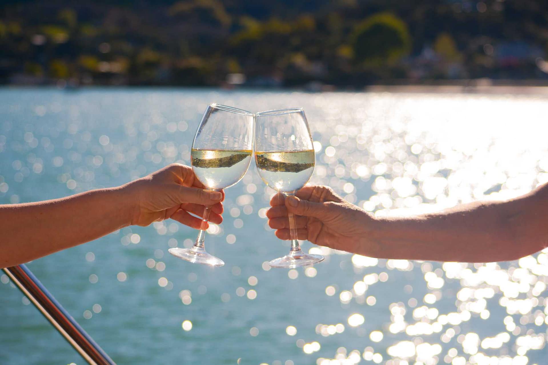 Guests enoying wine on Akaroa Nature Cruise