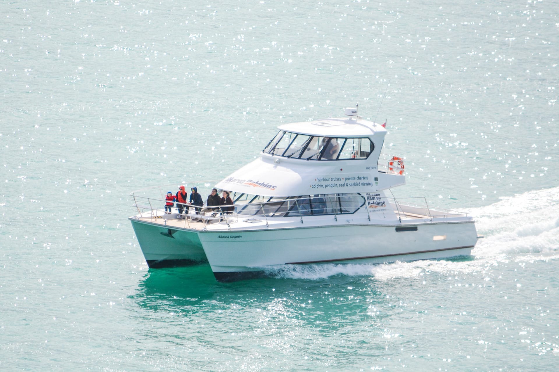 Akaroa Nature Cruise