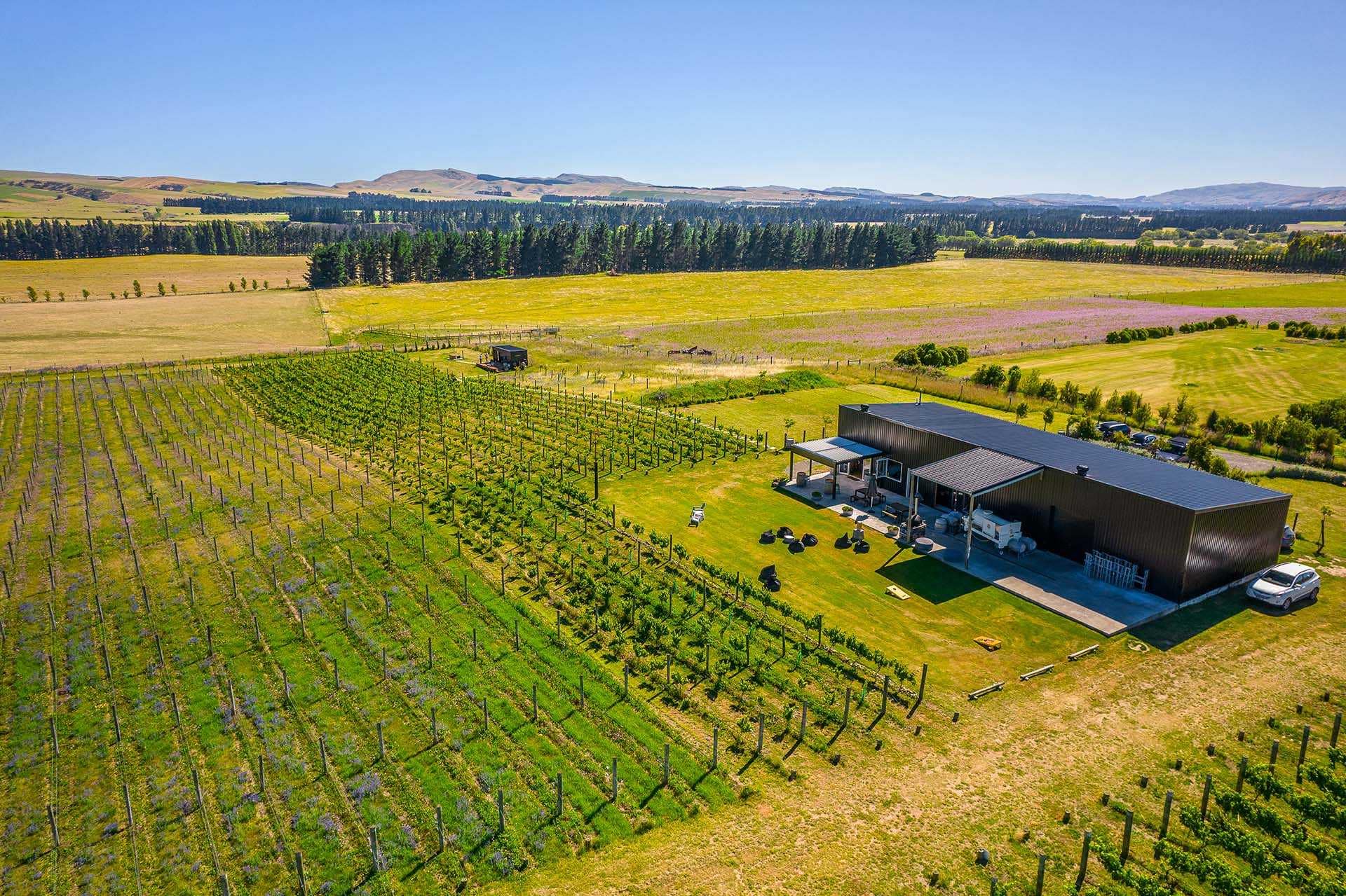 George’s Road Winery View