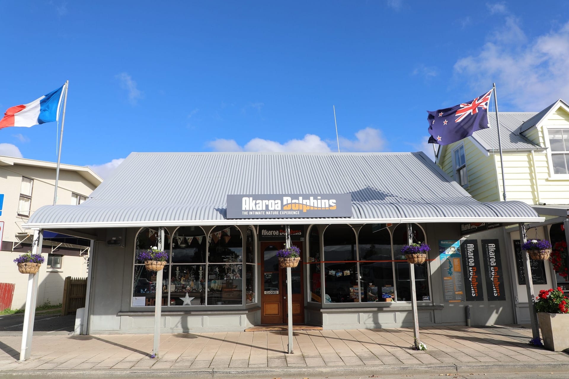 Akaroa Dophins - Storefront