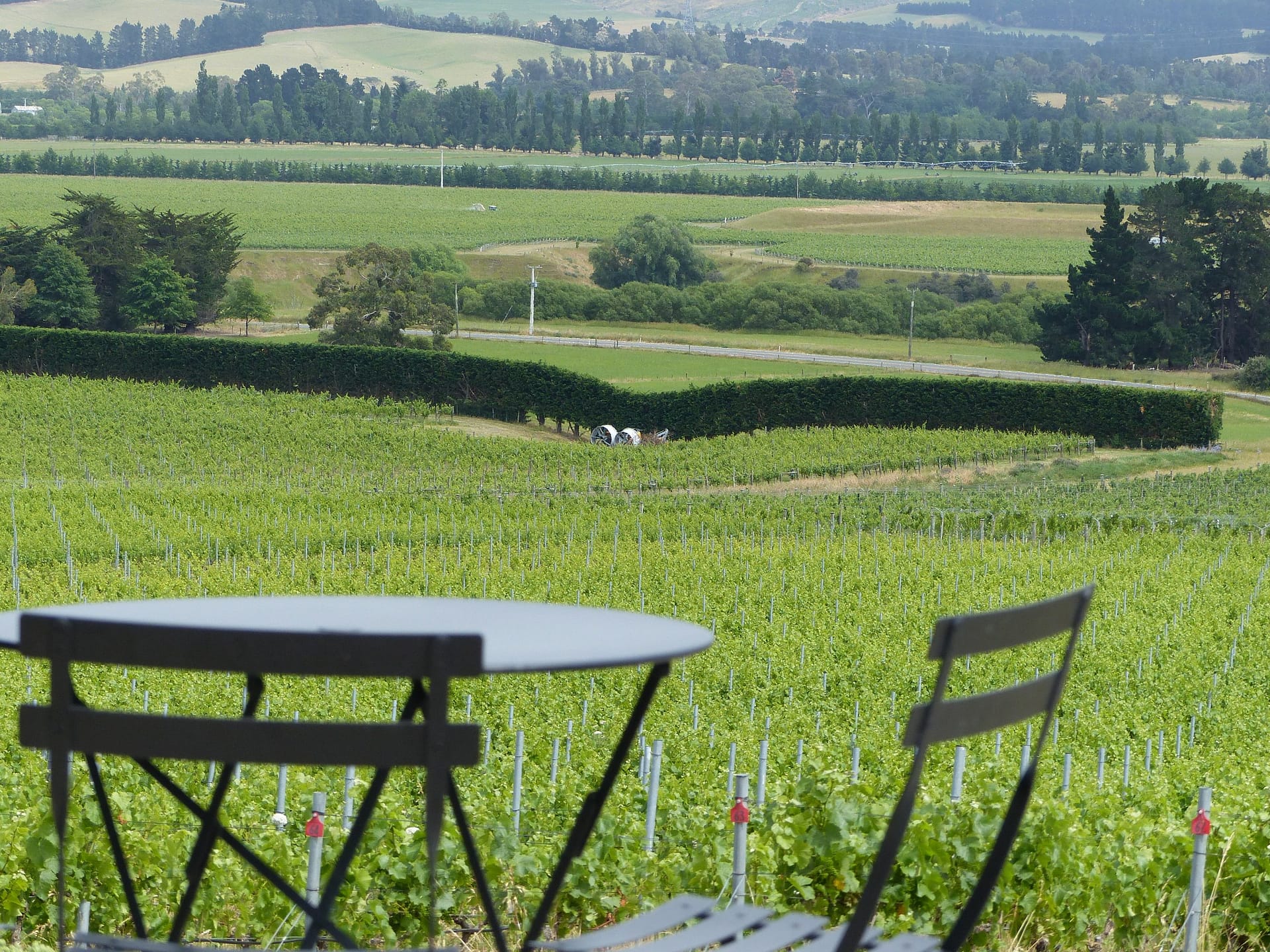 Black Estate looking out over Vineyard (Closer)