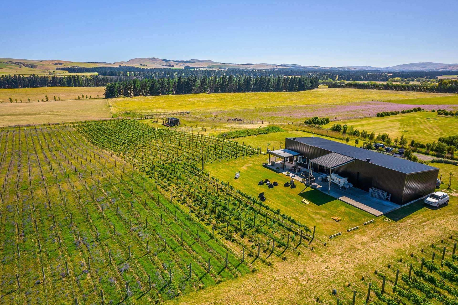George’s Road Winery View
