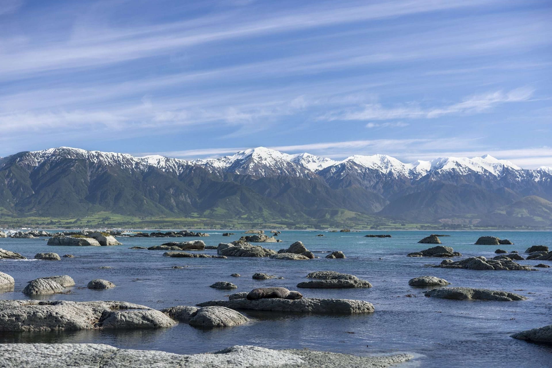 kaikoura canterbury