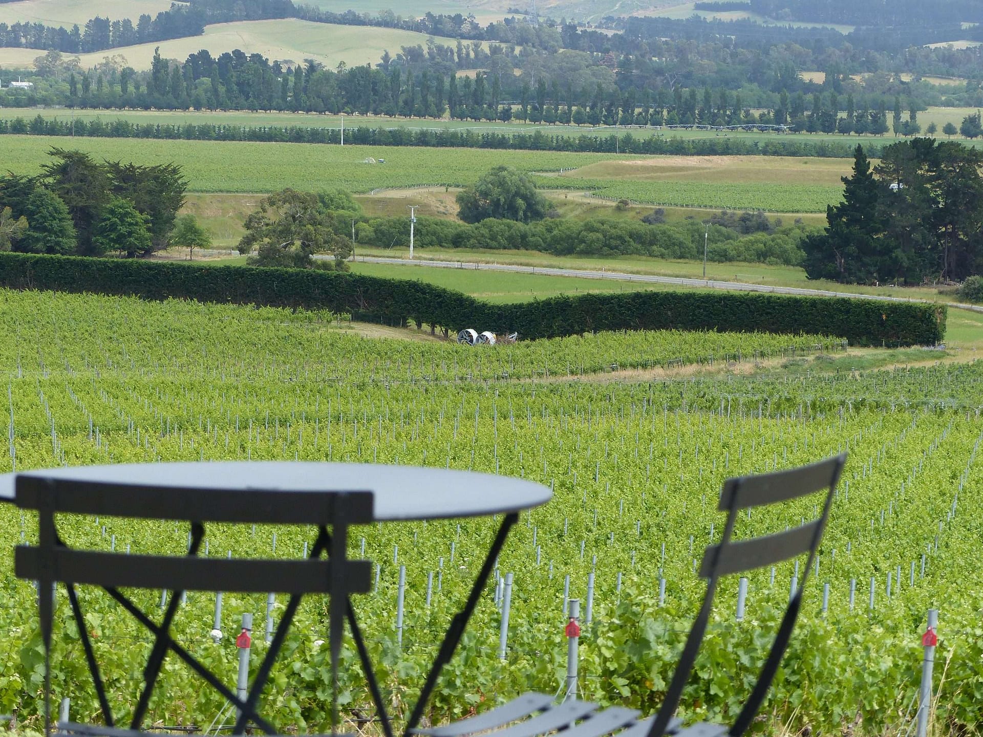 Black Estate looking out over Vineyard (Closer)