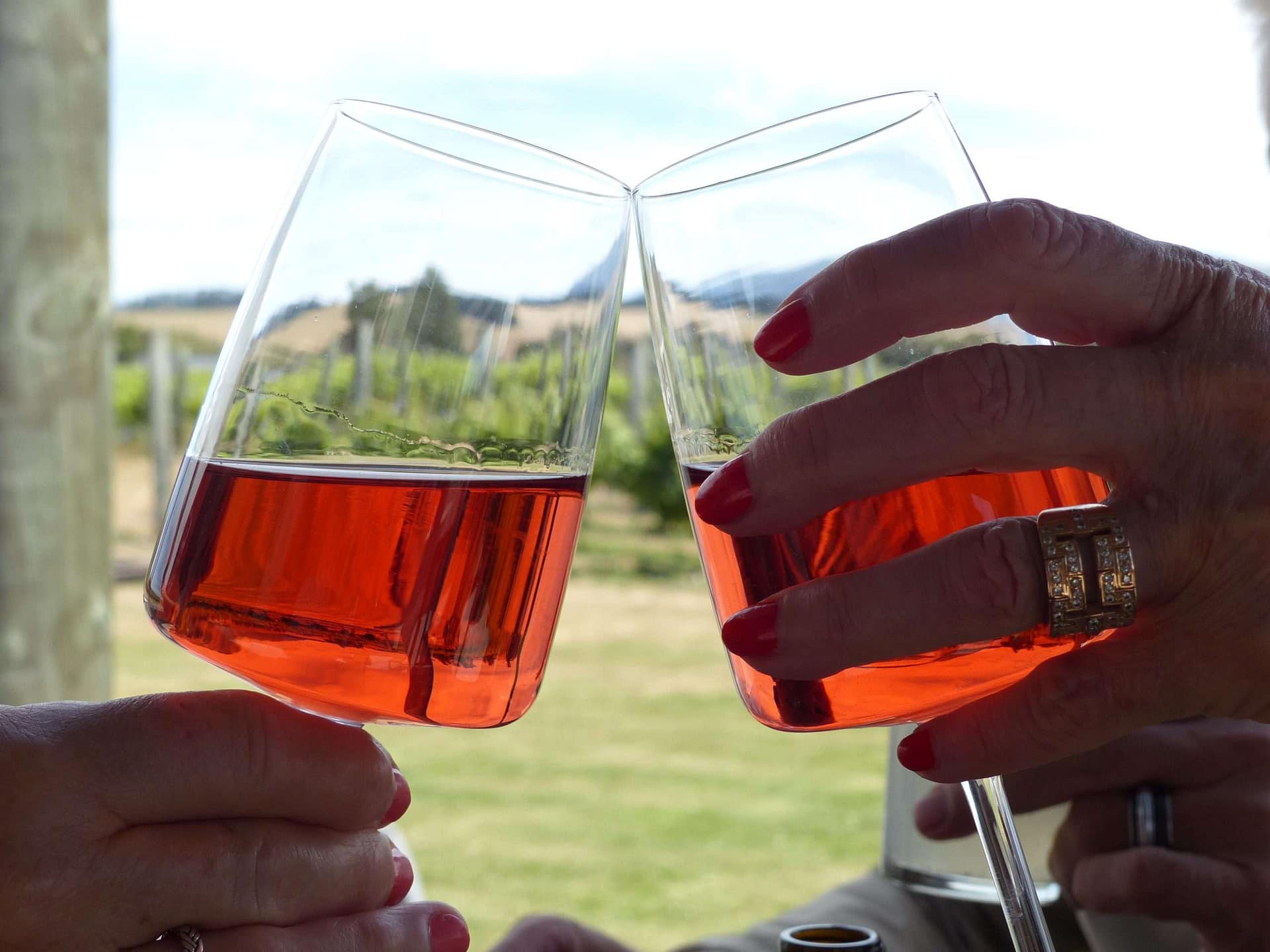 Wine Toasting