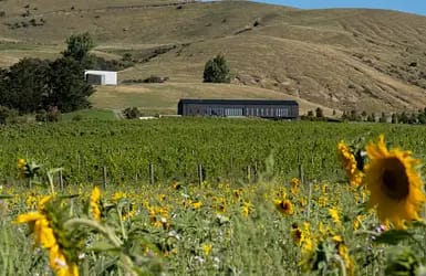 Black Estate Winery